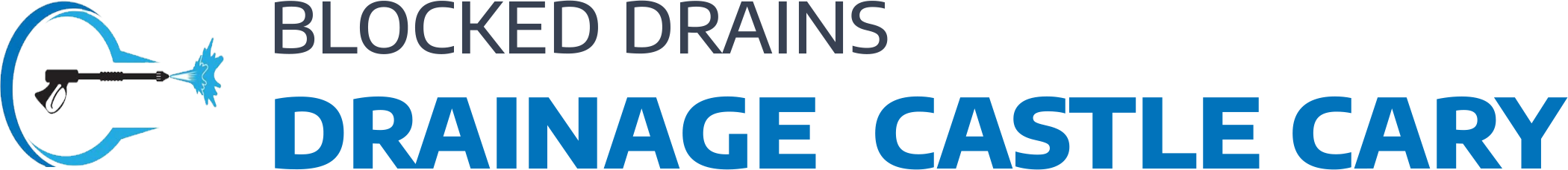 website logo